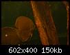         

:  3.JPG
:  400
:  150,0 KB