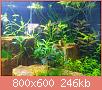         

:  Aquarium 5.jpg
:  350
:  245,9 KB