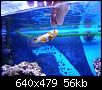         

:  billy reef141 (Small).jpg
:  264
:  56,2 KB