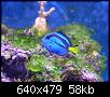         

:  Billy reef 210 (Small).jpg
:  239
:  58,4 KB