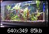         

:  aquarium640.jpg
:  405
:  84,5 KB