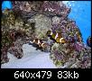         

:  billy reef160 (Small).jpg
:  208
:  83,4 KB