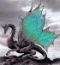  Avatar   skia