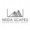  Avatar   Neda Scapes