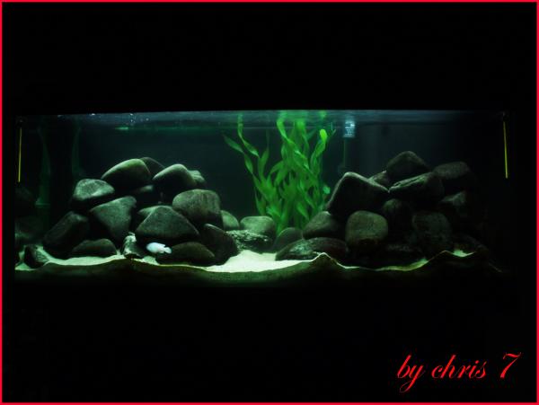 150 lt malawi tank