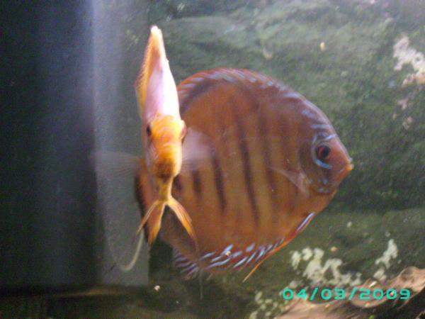 PICT0025