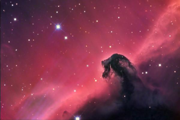 horsehead