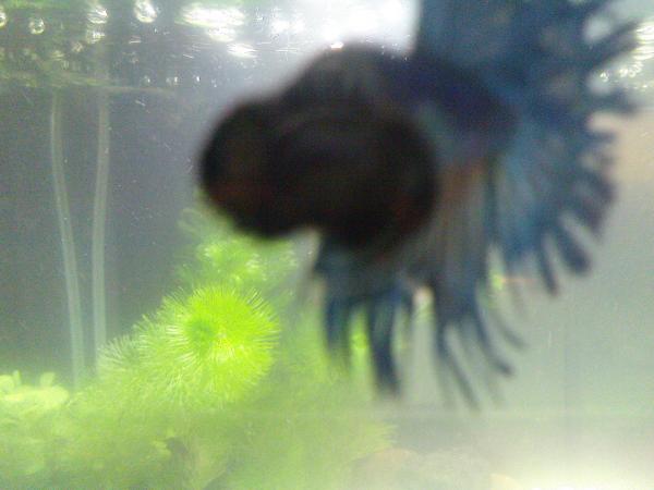     ! :)