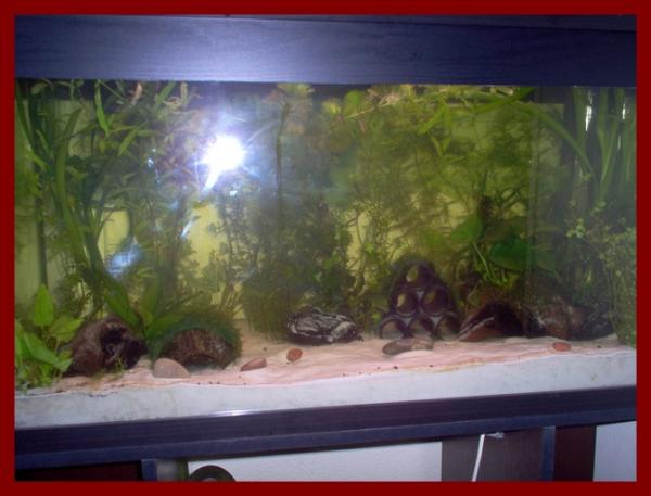 100 liters003