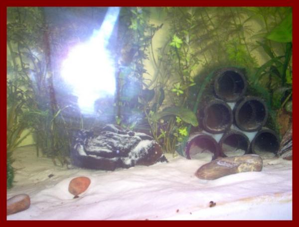 100 liters006