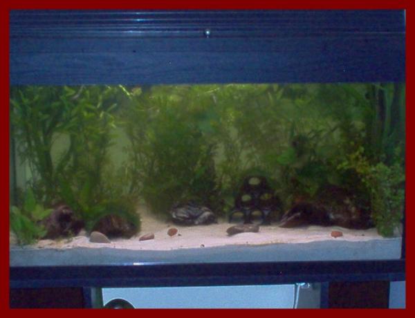 100 liters020