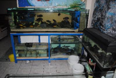 DSC 0241c