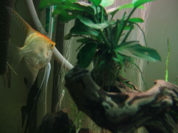 DSCF6895