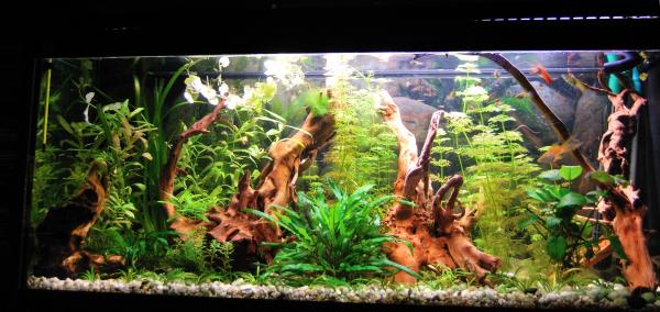 120L