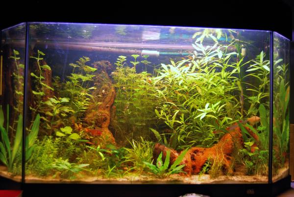 160L