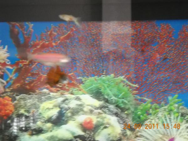 DSCN0520