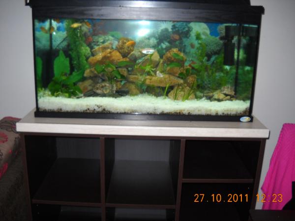 DSCN0599
