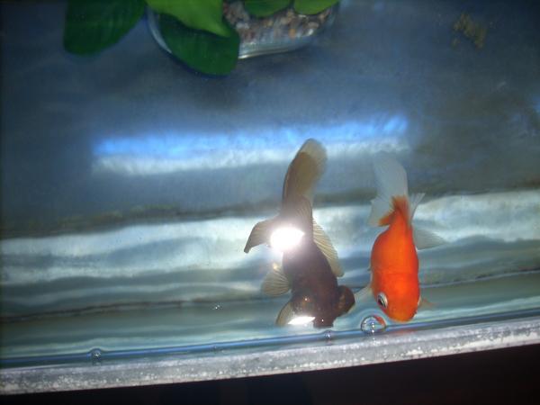 DSCN5337