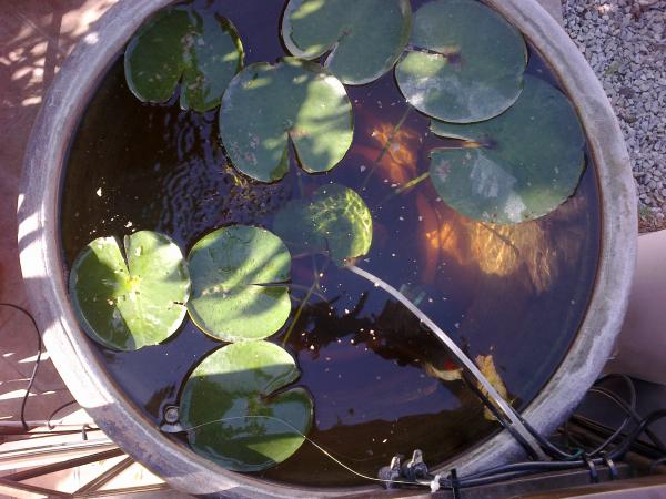 2012 10 28 043