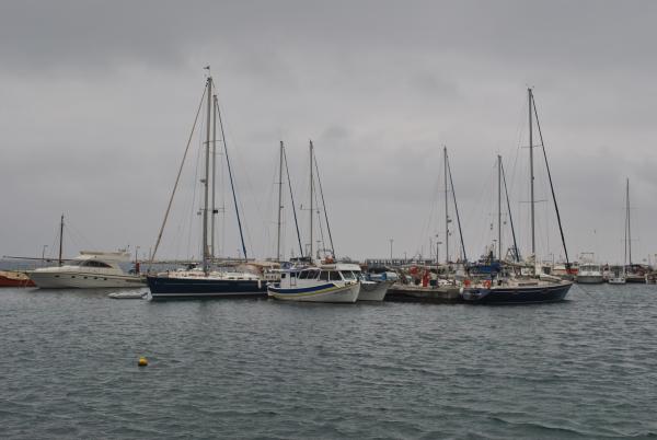 DSC 0220