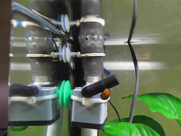 Surface skimmer