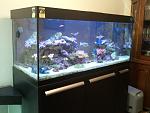 My reef aquarium (700 lt)